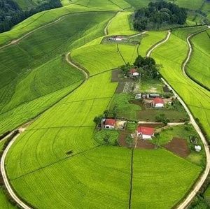 Meet your Posher, Isha